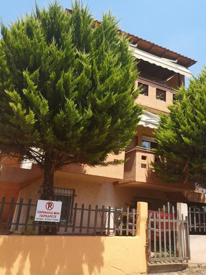 Greca Mare-Traditional Greek Boutique Apt. Psakoudia Extérieur photo